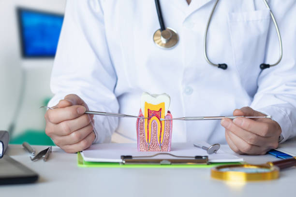 Best Emergency Cosmetic Dentistry in Scott Af, IL